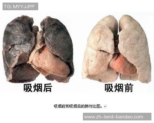 踢足球肺的健康秘密与运动技巧探讨让你在球场上更具活力与耐力